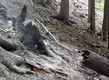 Waldbrand auf 1.900 Metern
